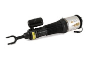 VW Air Strut Assembly - Arnott Industries AS2892